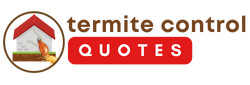 Beach Town Termite Removal Experts